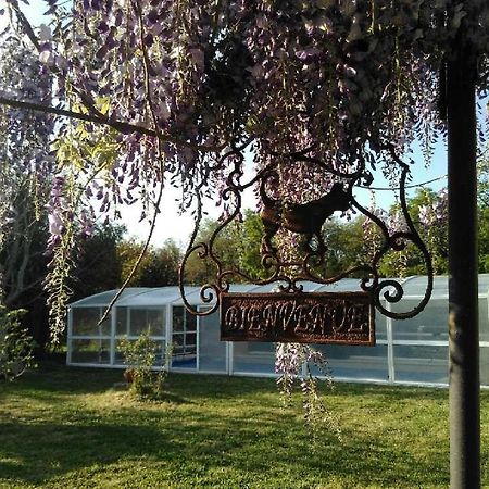 La Ferme Du Bien Etre Bed & Breakfast Athee-sur-Cher ภายนอก รูปภาพ